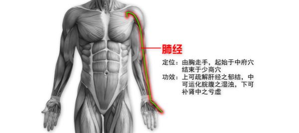 刮痧：清皮肤浊气，美肤刮痧法!