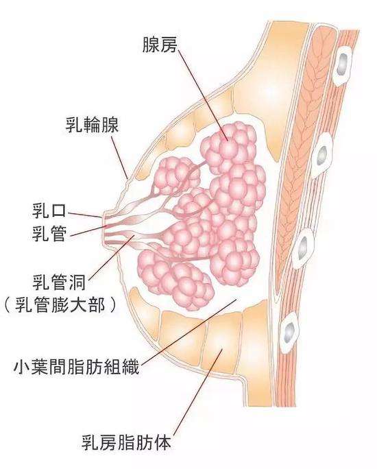 人的保质期，看完一身汗！