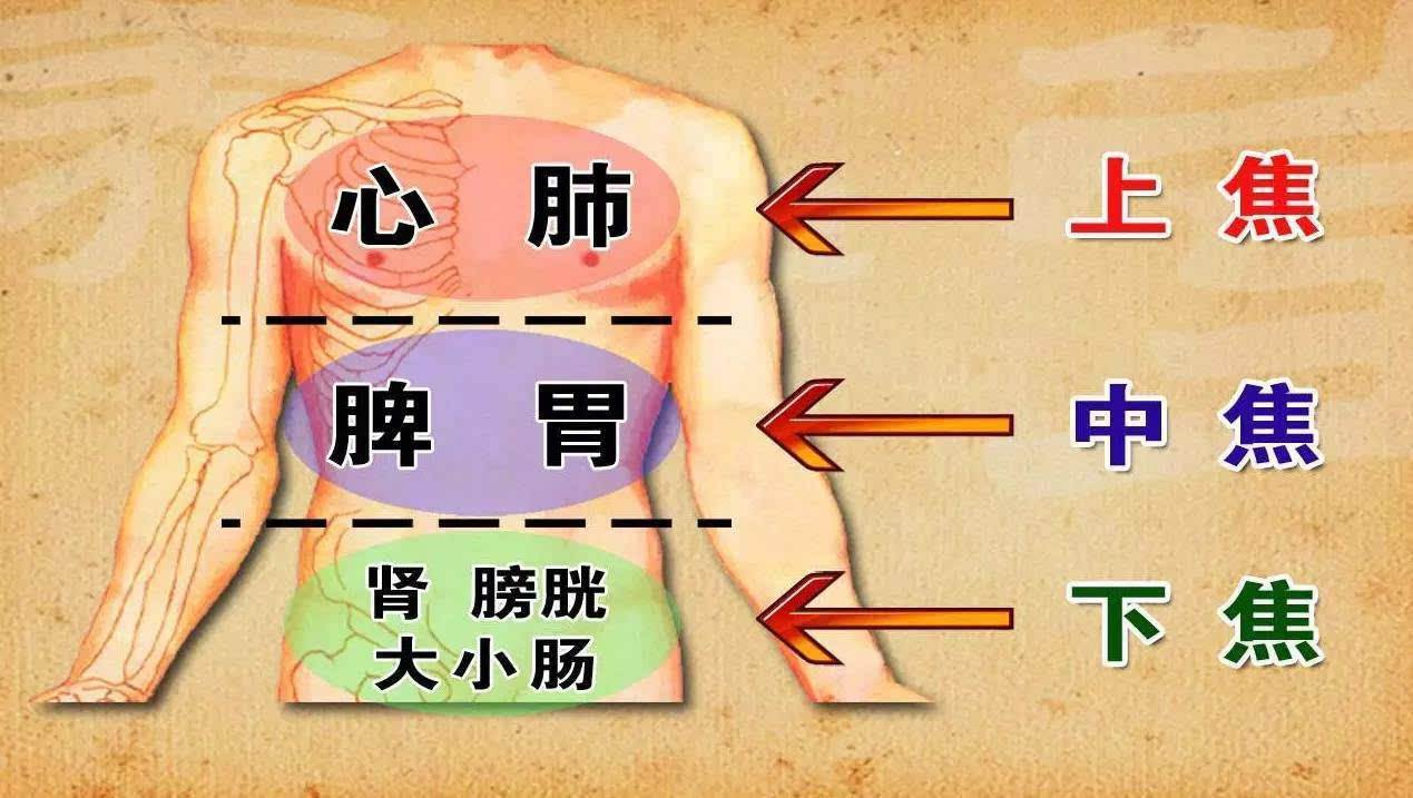 晚上9点到11点你在干嘛？难怪你一身病！
